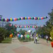 <h2>Açılış Organizasyon</h2>