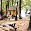 <h2>Piknik Yeri : AZİZPAŞA MESİRE YERİ</h2>